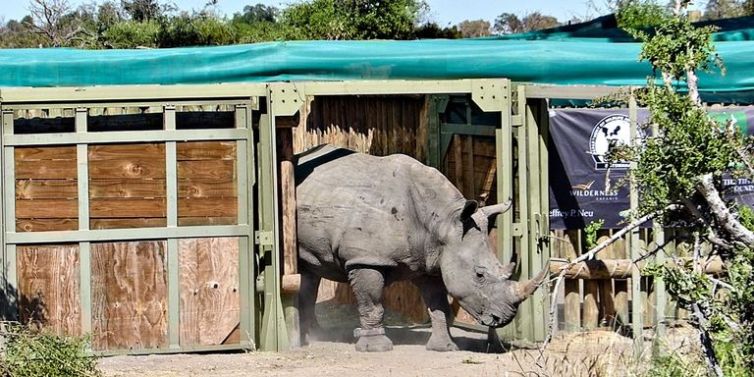 landscape-1441229891-tct100115tctrip022